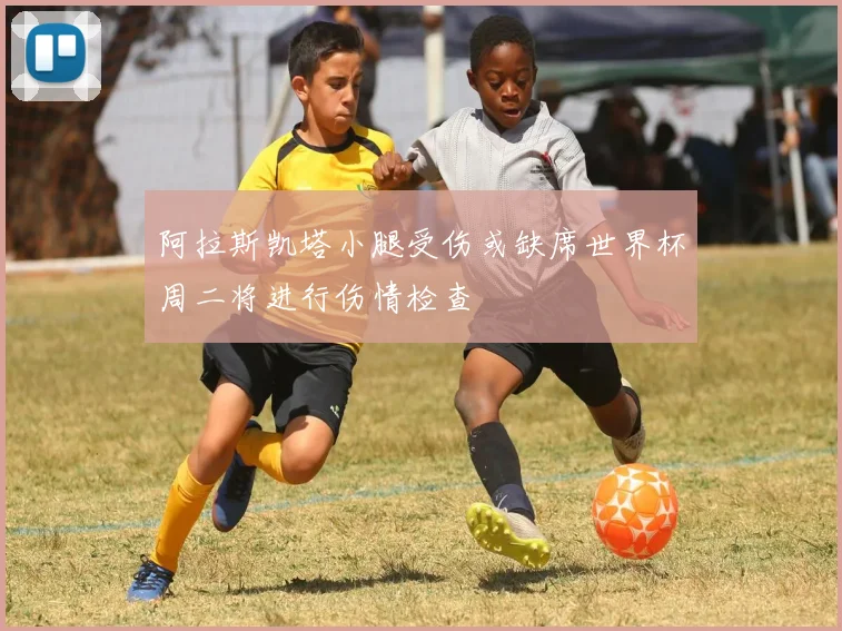 阿拉斯凯塔小腿受伤或缺席世界杯周二将进行伤情检查